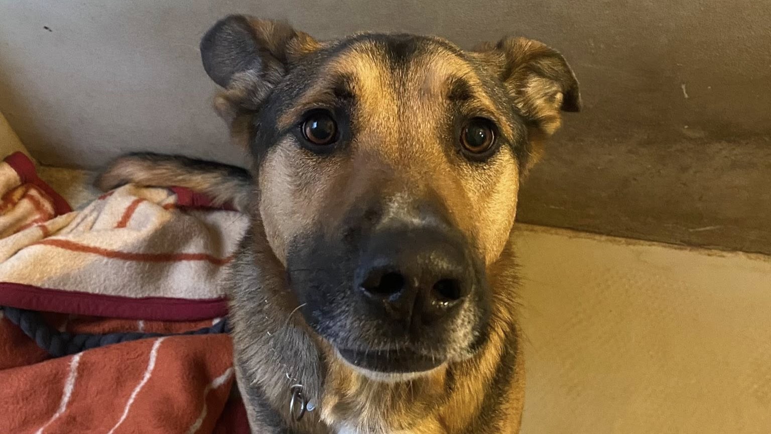 Mesece in leta čakajo na ljudi, ki jim bodo lahko rekli svoji: Kako jim lahko pomagate med prazniki