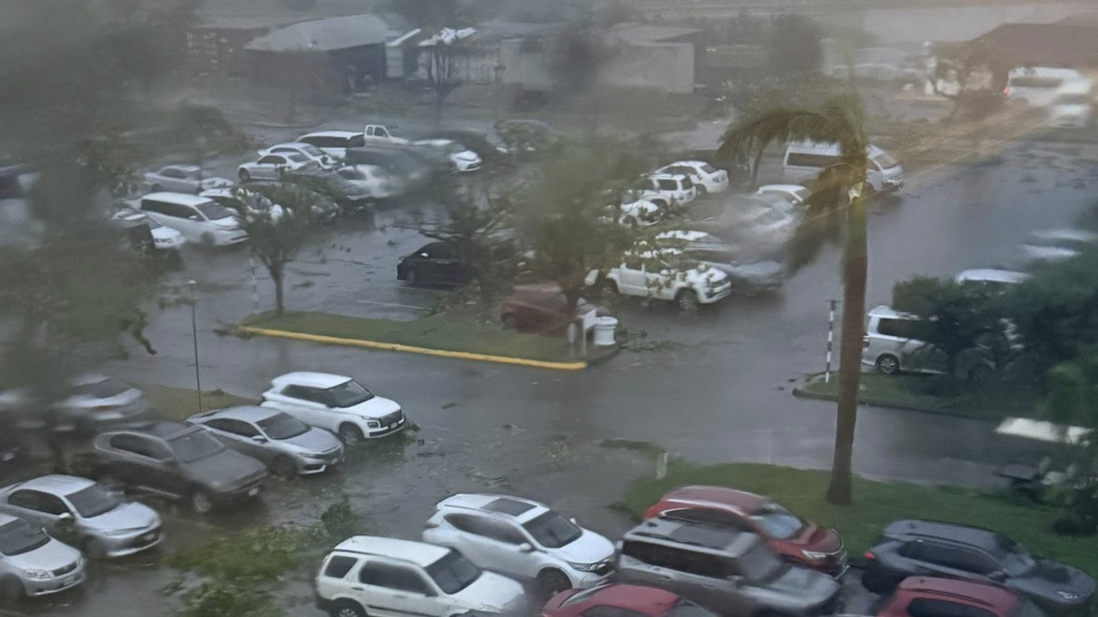 Orkan, močnejši od Katrine, dosegel Jamajko in naplavil krokodile: Posnetki razkrivajo katastrofalne posledice