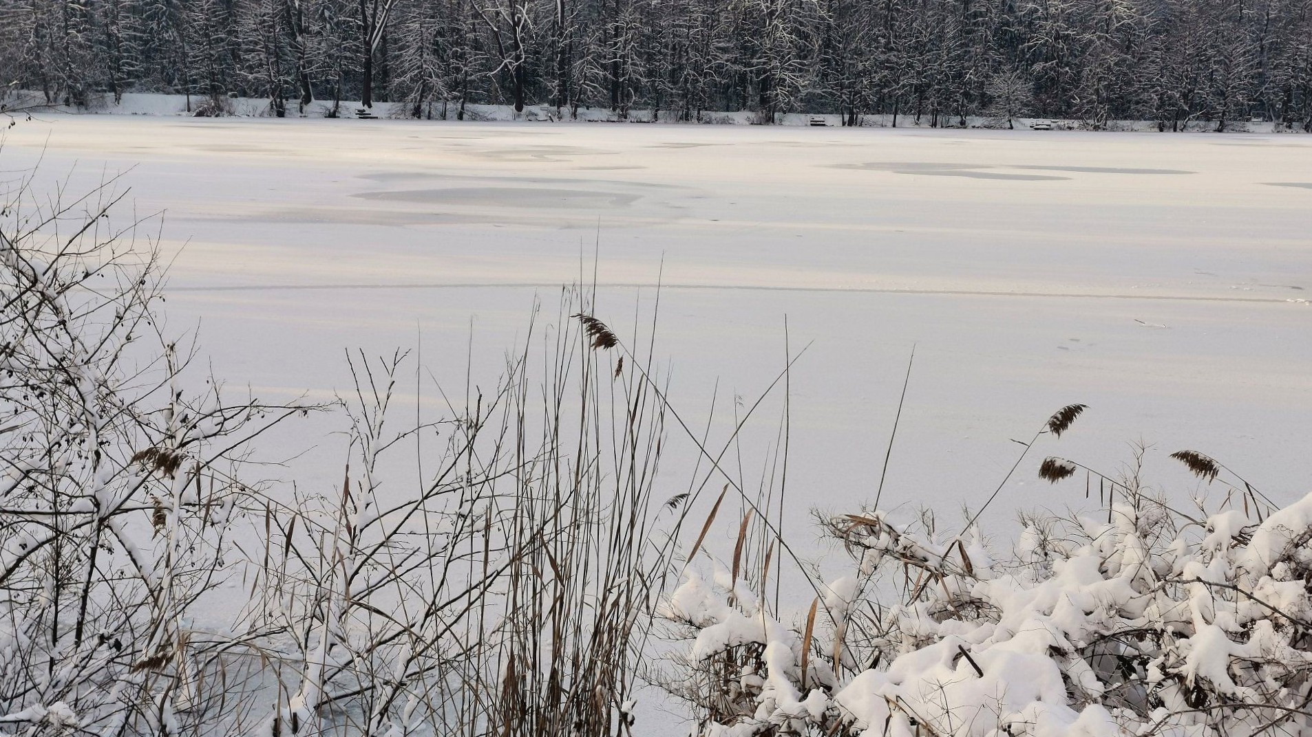 Dve osebi padli v Koseški bajer, pod njima se je vdrl led