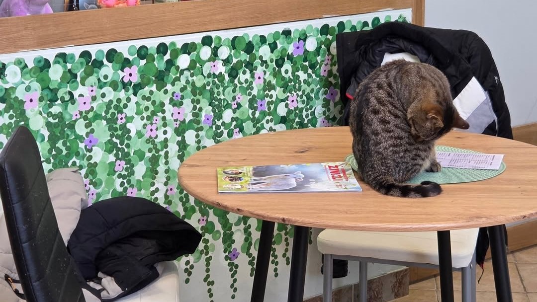 Ena najbolj srčnih kavarn v Sloveniji se poslavlja: "Čisto iskreno, finančno ni izšlo"