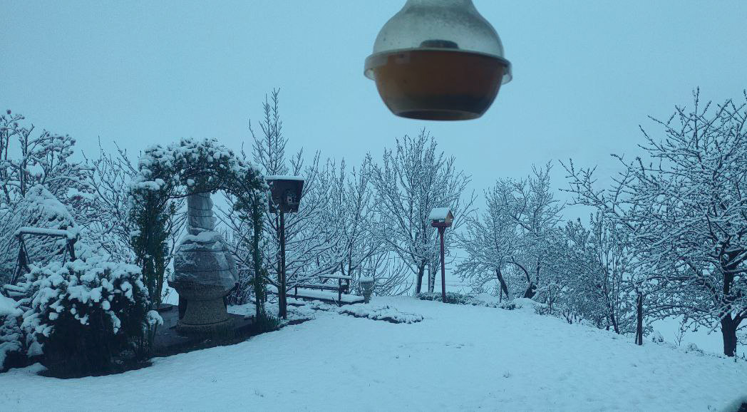 FOTO: Zbudili smo se v zasneženo pomladansko jutro