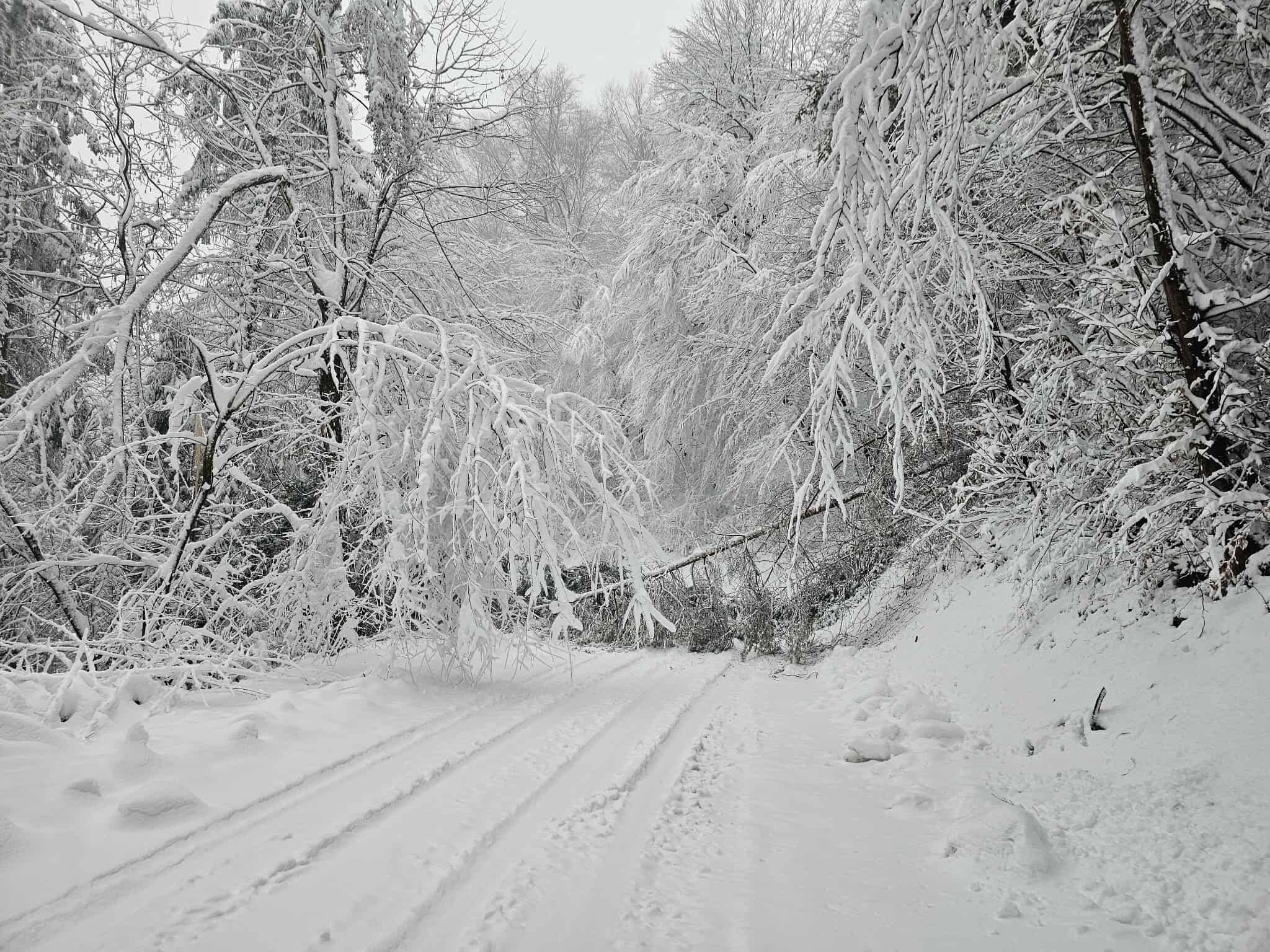 Nekateri še vedno brez elektrike, vseh napak na omrežju ne bo mogoče odpraviti danes