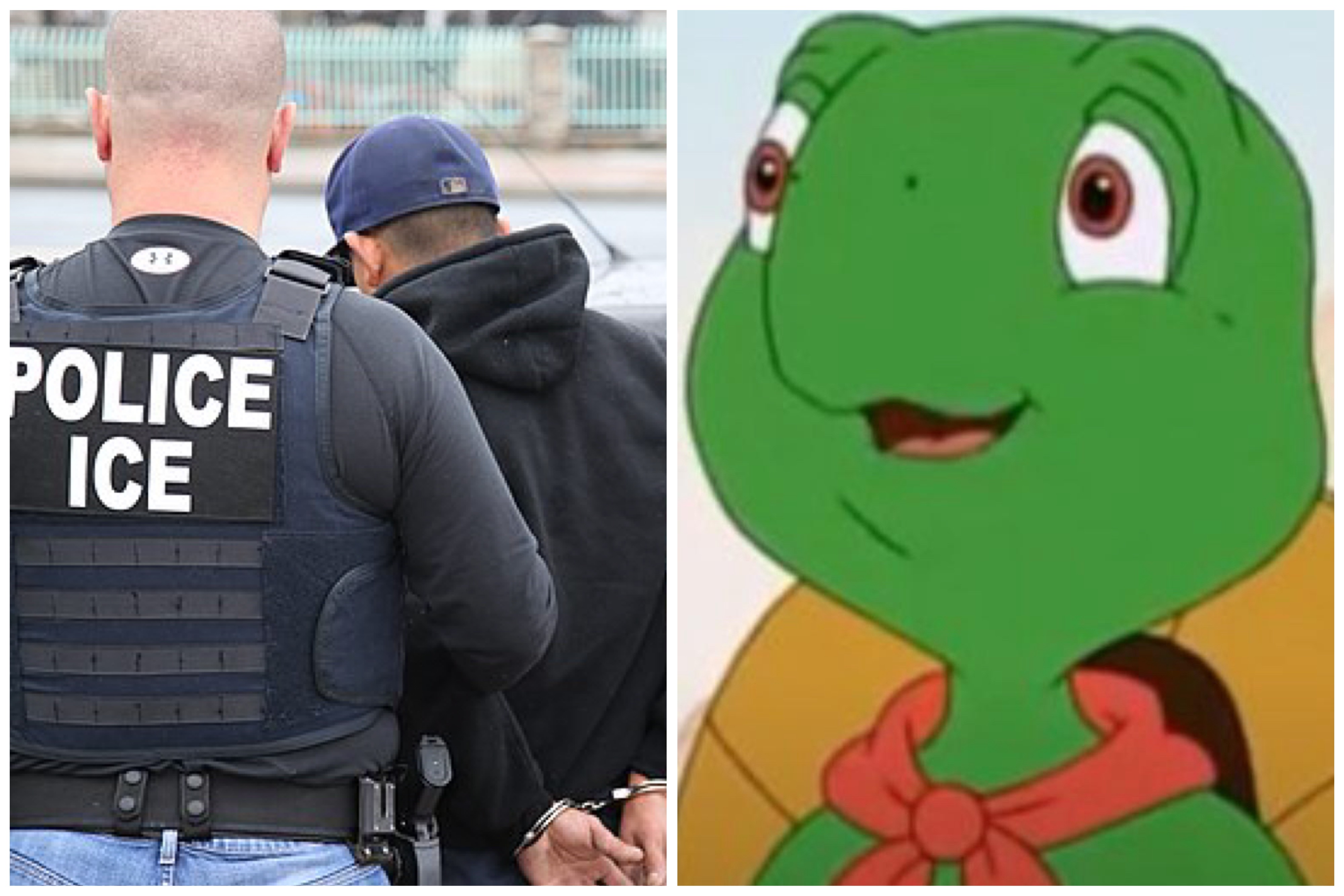 ZDA zlorabile priljubljenega risanega junaka želvaka Frančka