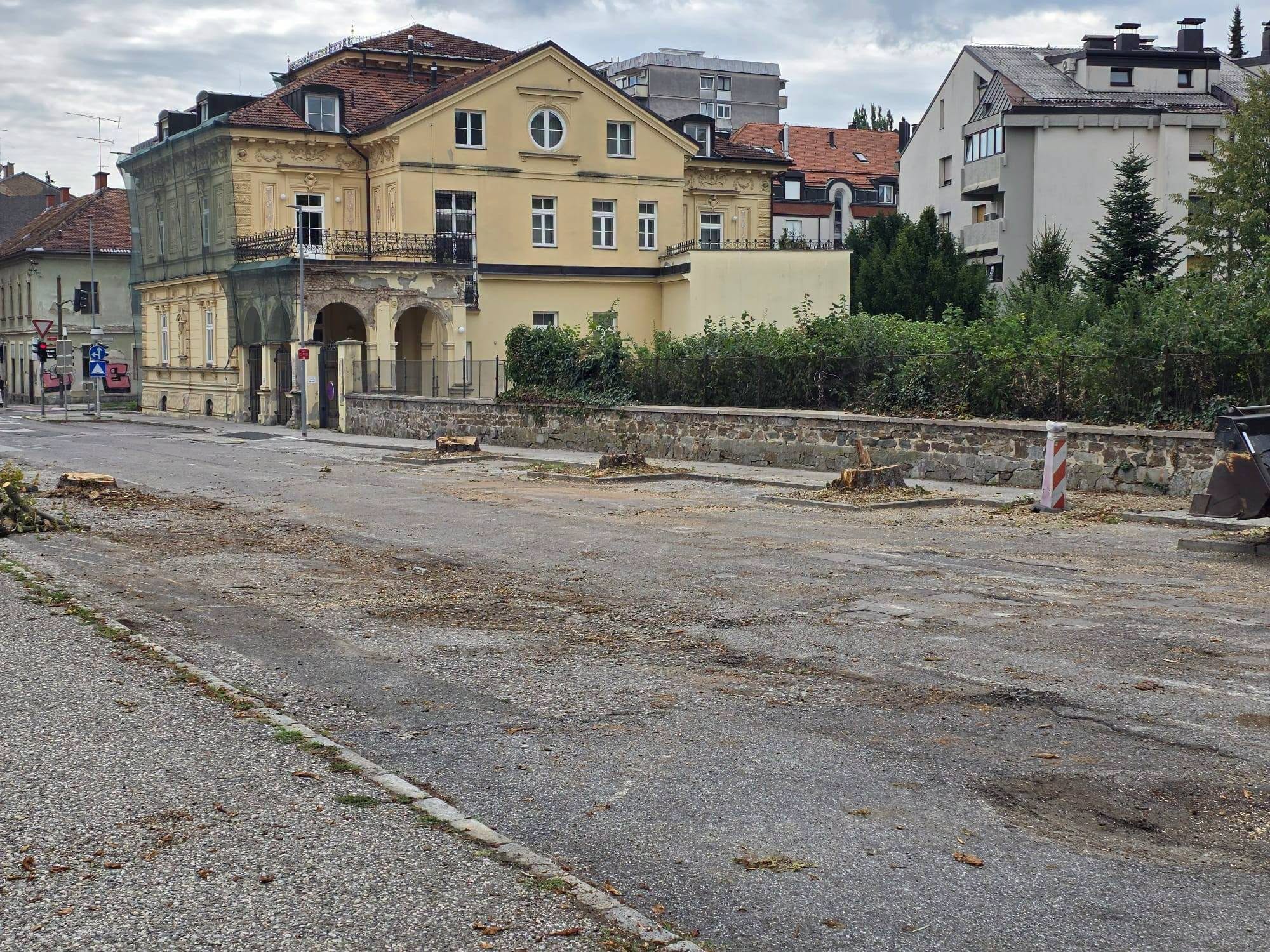Posek drevoreda na Trubarjevi razburil Mariborčane, občina priznava, da je prišlo do napake