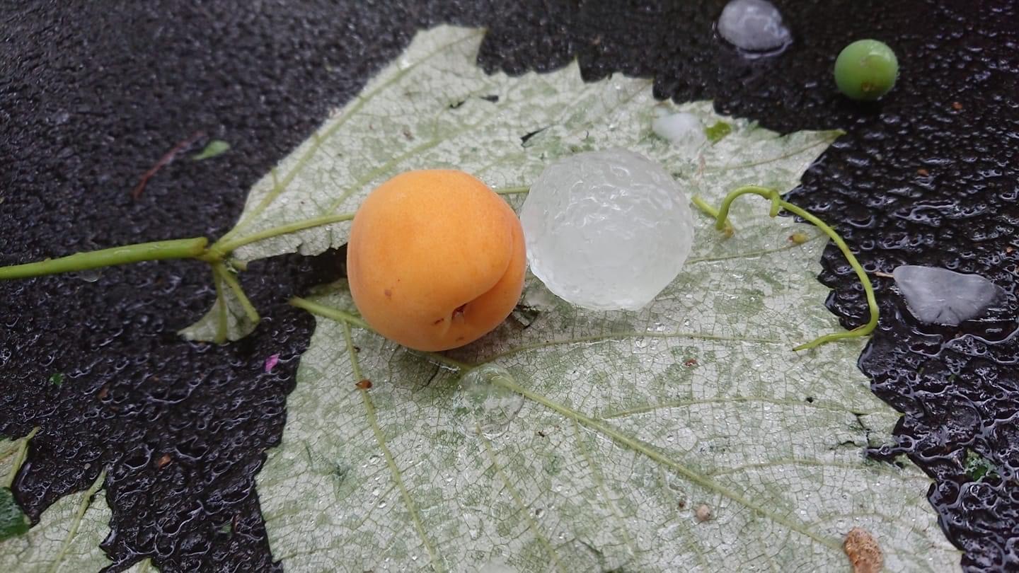 FOTO: Na Pohorju padala kot jajce debela toča