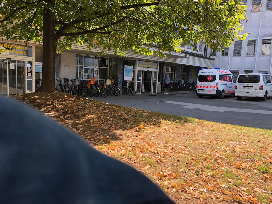 Bodo zaradi kontejnerske covid bolnišnice posekali edini park v UKC Maribor?