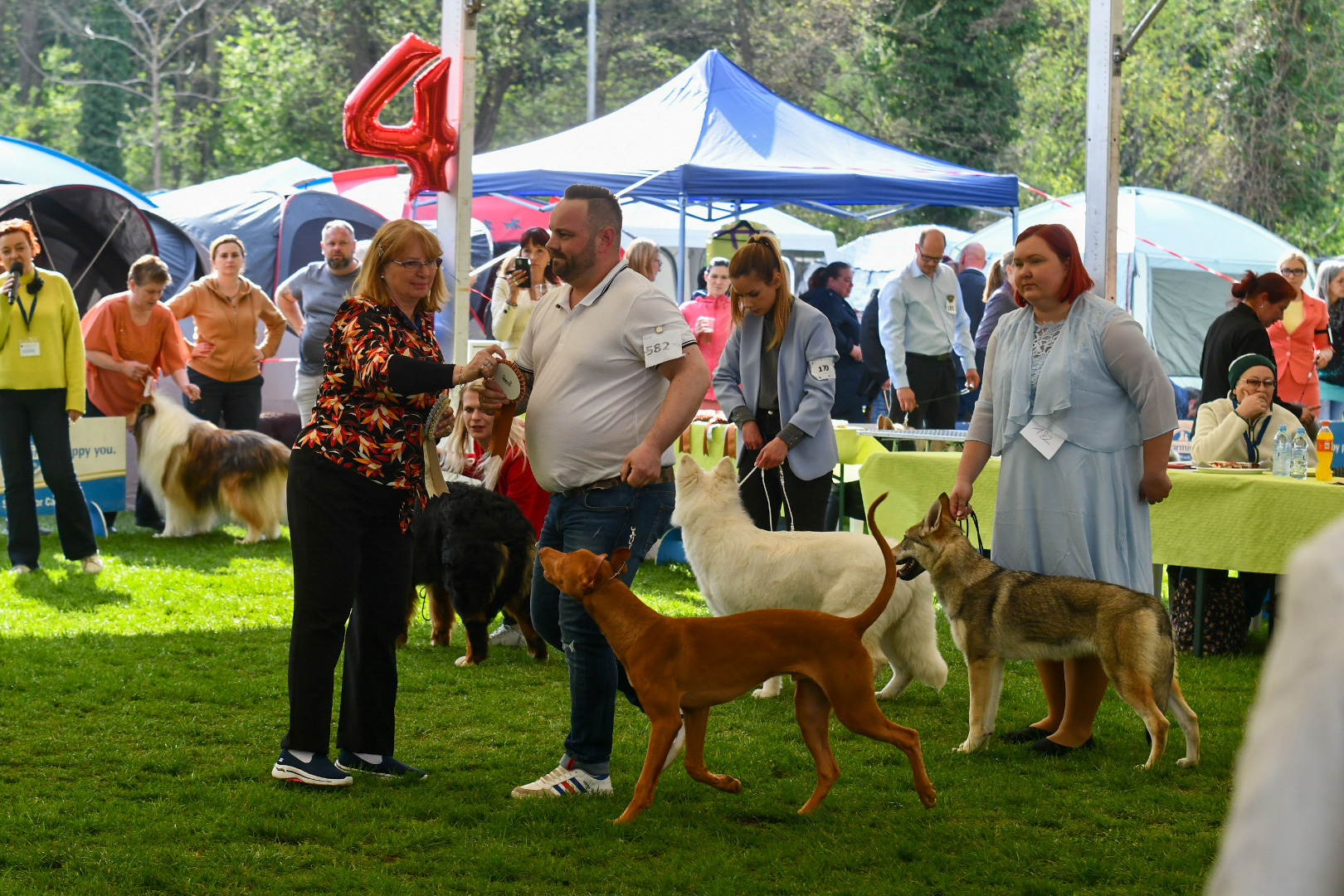 FOTO: Mednarodna razstava psov v Mariboru že prvi dan navdušila