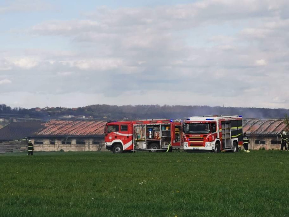 FOTO in VIDEO: Požar v hlevu popolnoma uničil streho