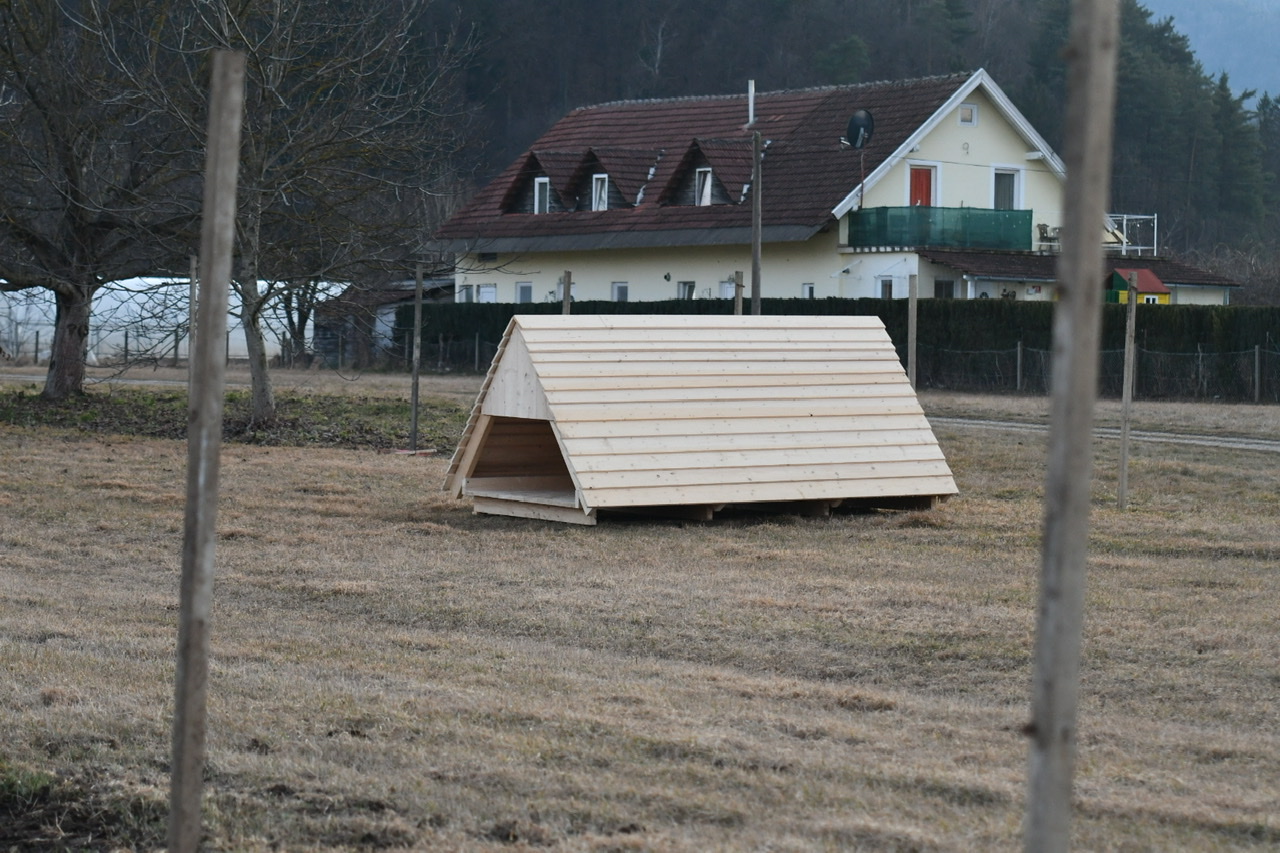 FOTO: Studenški pujski bodo bivali v glamPIG hiškah