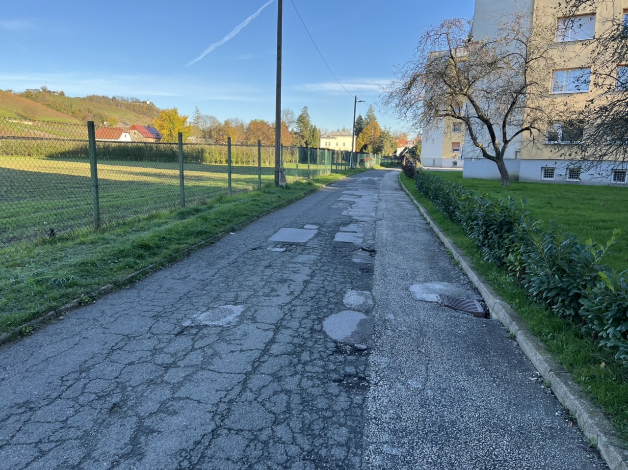 FOTO: Cestišče Vinarske ulice kot luknje v siru, ki kličejo po nujni obnovi