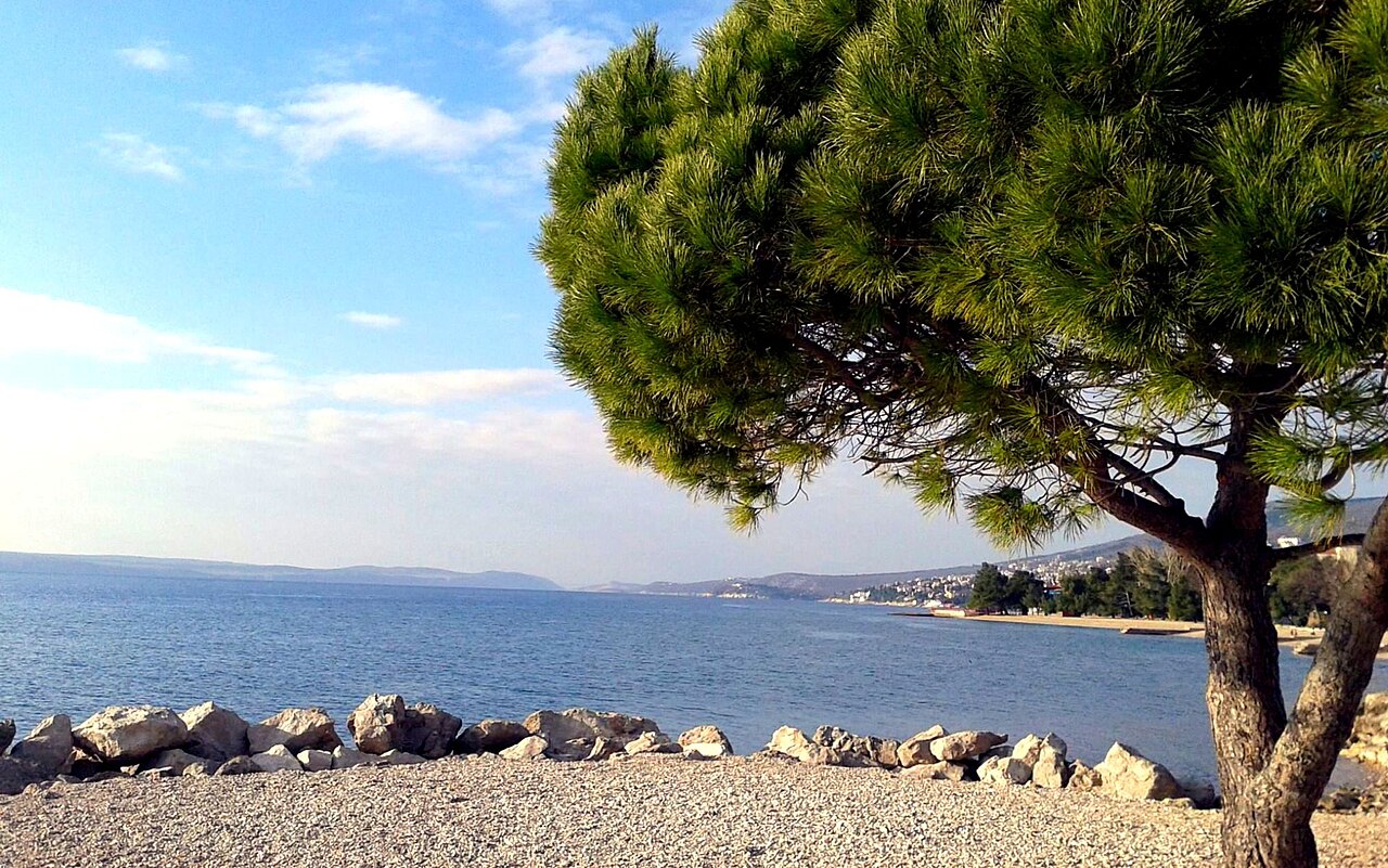 Na hrvaški plaži, priljubljeni med Slovenci, je skorajda prišlo do tragedije