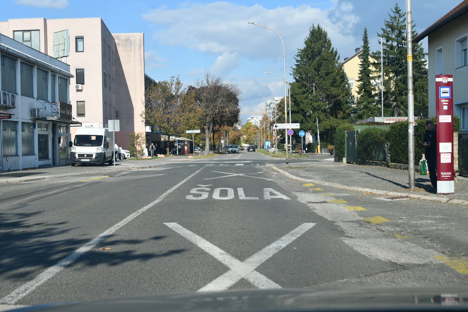 Prenova Ljubljanske ulice: Cona 30, nova drevesa in razsvetljava
