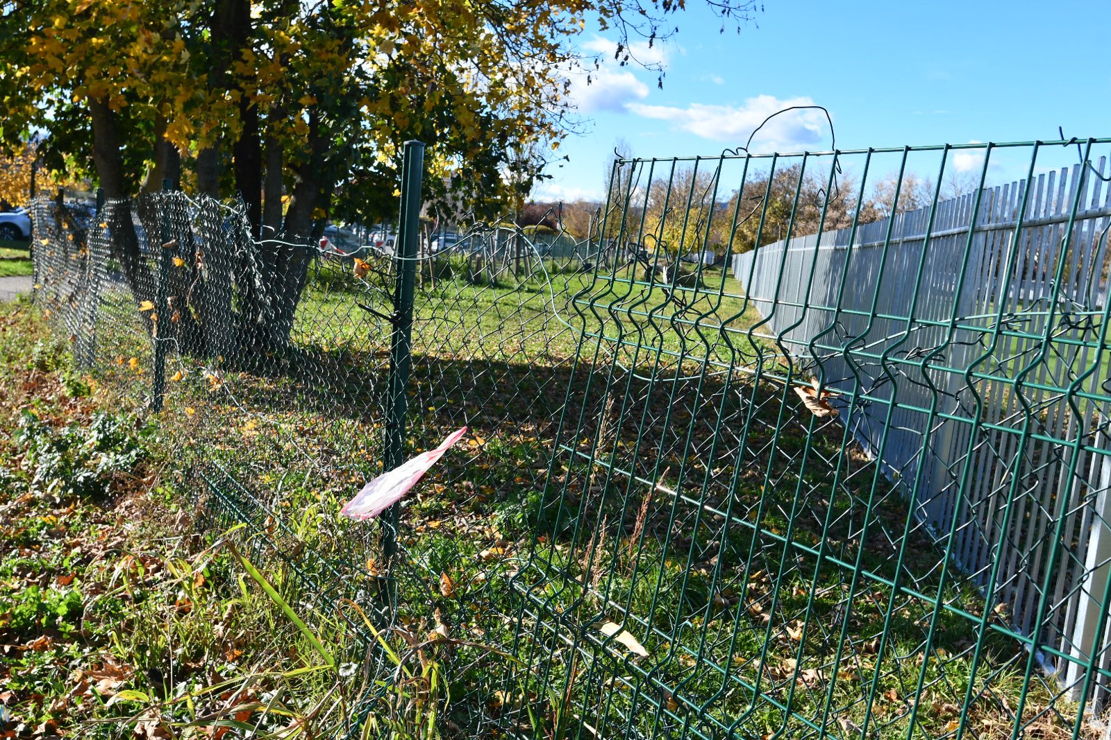 FOTO: Edini pasji park v Mariboru zanemarjen, a na obzorju je nov