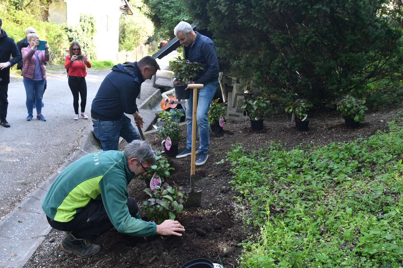FOTO: Maribor oživlja Florino in hkrati ozelenjuje mestne četrti