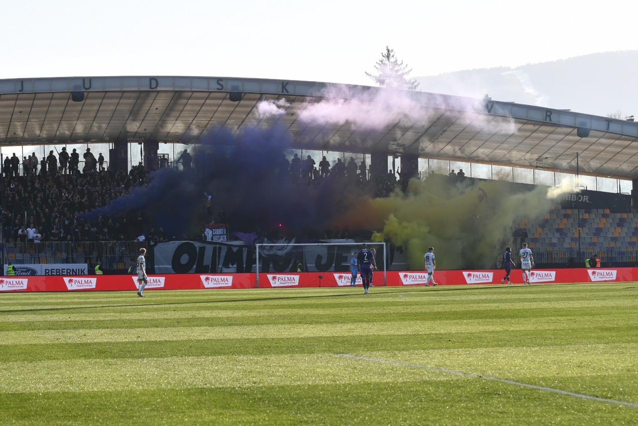 Bamba nov obraz v Ljudskem vrtu, prišel 22-letni vezist