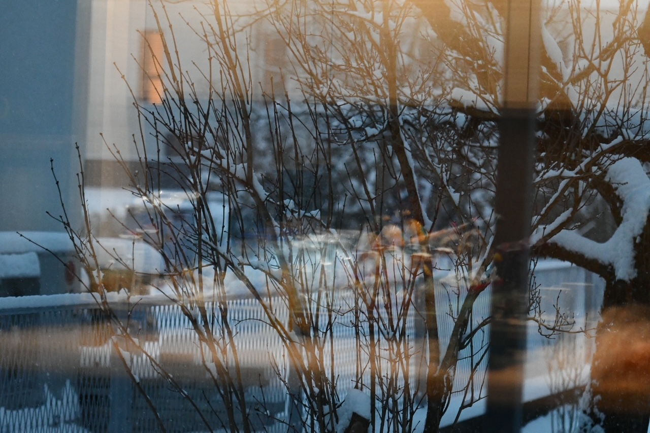 ARSO opozarja: Meja sneženja se v četrtek lahko spusti do nižin