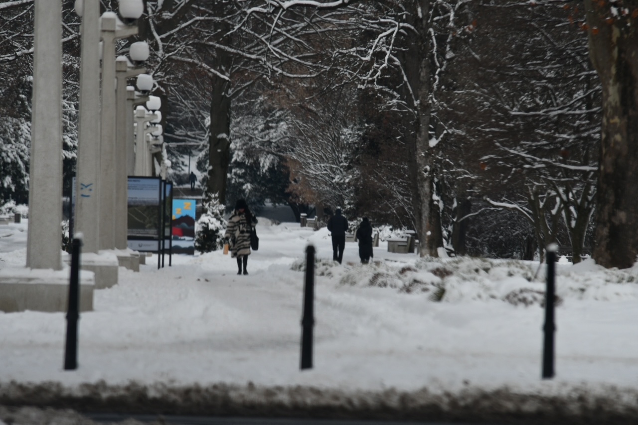 Sneg v Mariboru: Po 16 letih najbolj zasnežen mesec, sončnih ur pa premalo