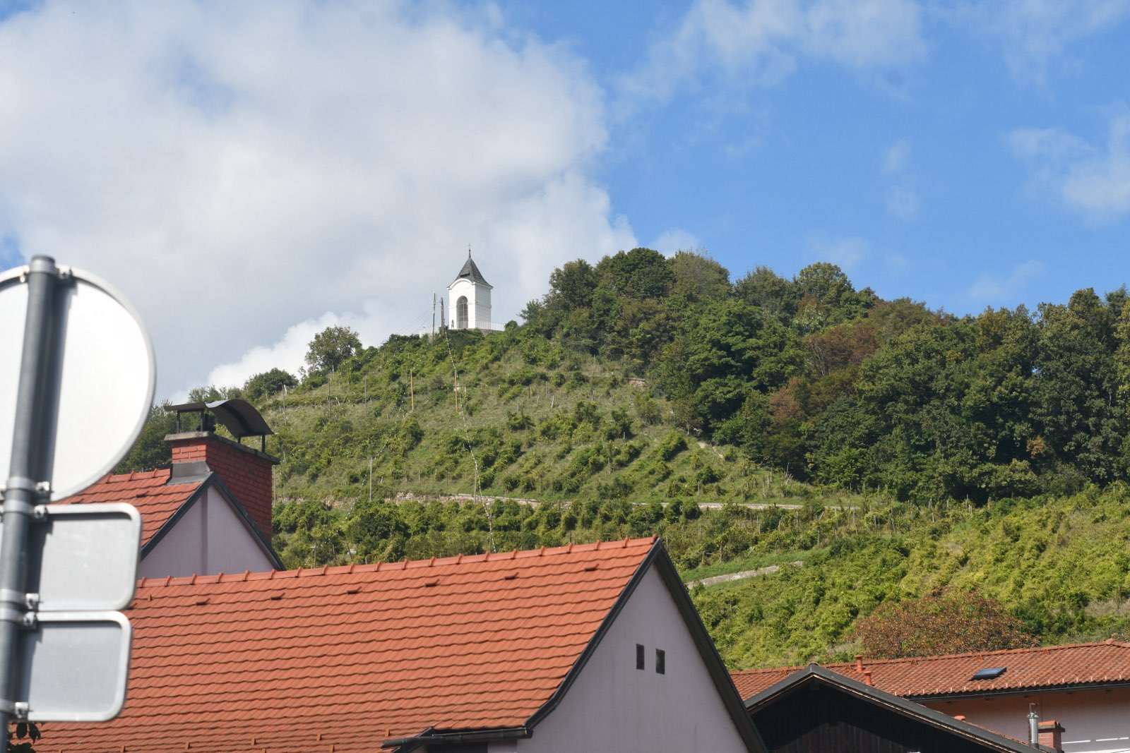Prenova vinograda na Piramidi: Jeseni se začenjajo obsežna dela