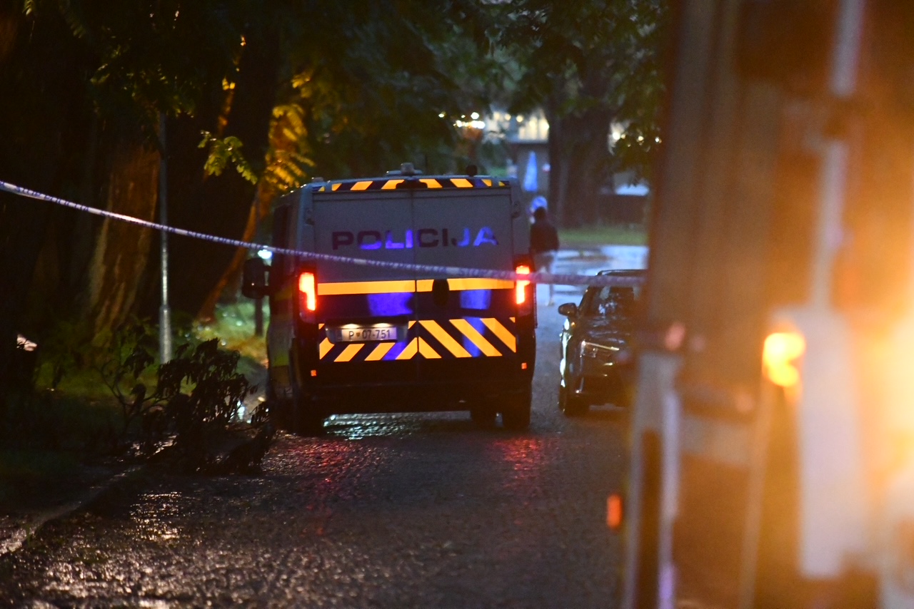 Več primerov nasilja v družinah, množični vlomi in kršenje javnega reda in miru