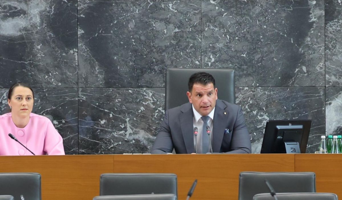 Opozicija vložila predlog za razrešitev Stevanovića s čela DZ: "Z ustavo, ki je temelj naše domovine, se ni za igrati"