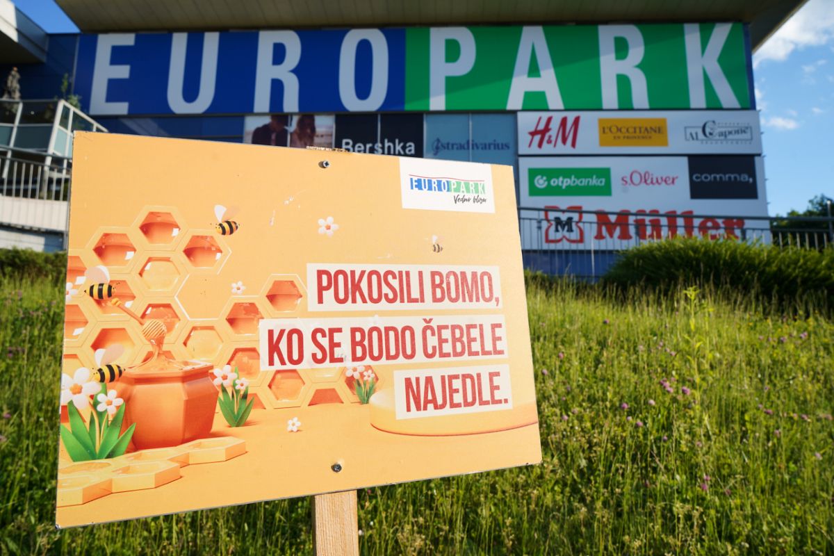 Zakaj trava ob Europarku ostaja nepokošena? Pravzaprav gre za čudovito gesto