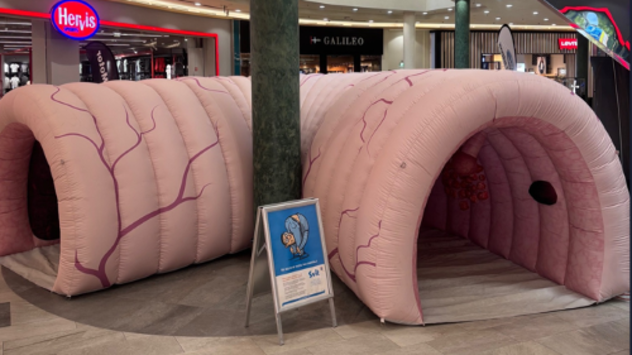 Zakaj bodo v Mariboru med trgovine postavili velikansko črevesje?