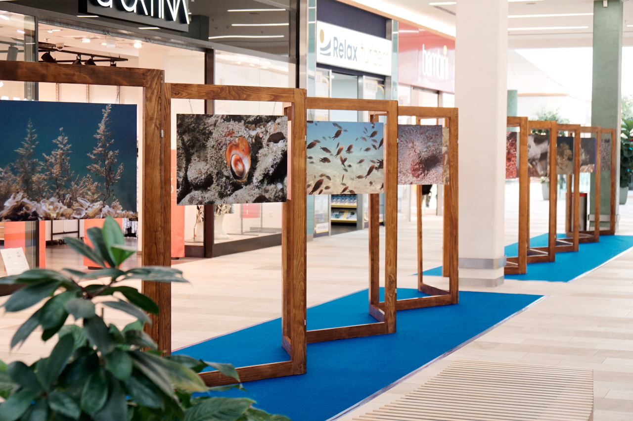 Odkrijte lepote slovenskega morja kar v mariborskem Europarku