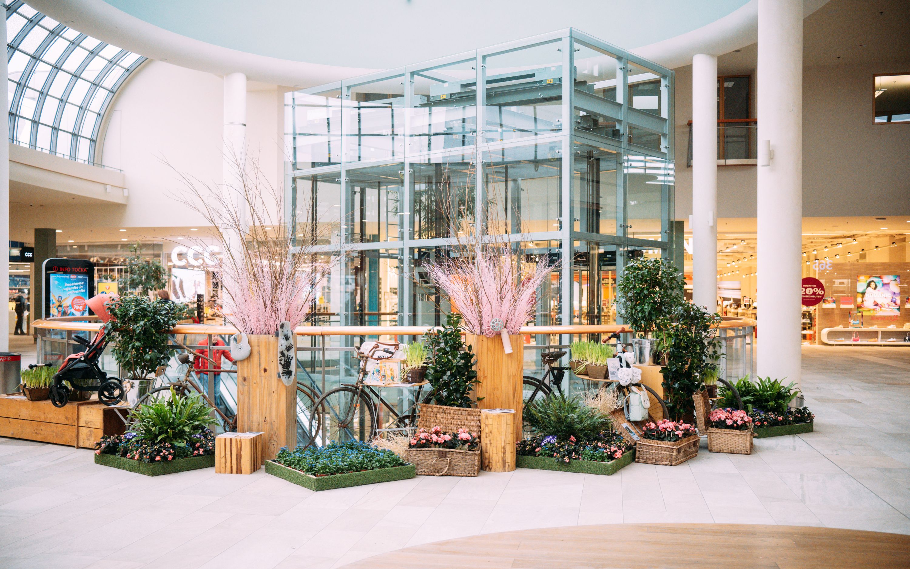 Europark je v prvi polovici februarja postal najimenitnejša cvetličarna v Sloveniji