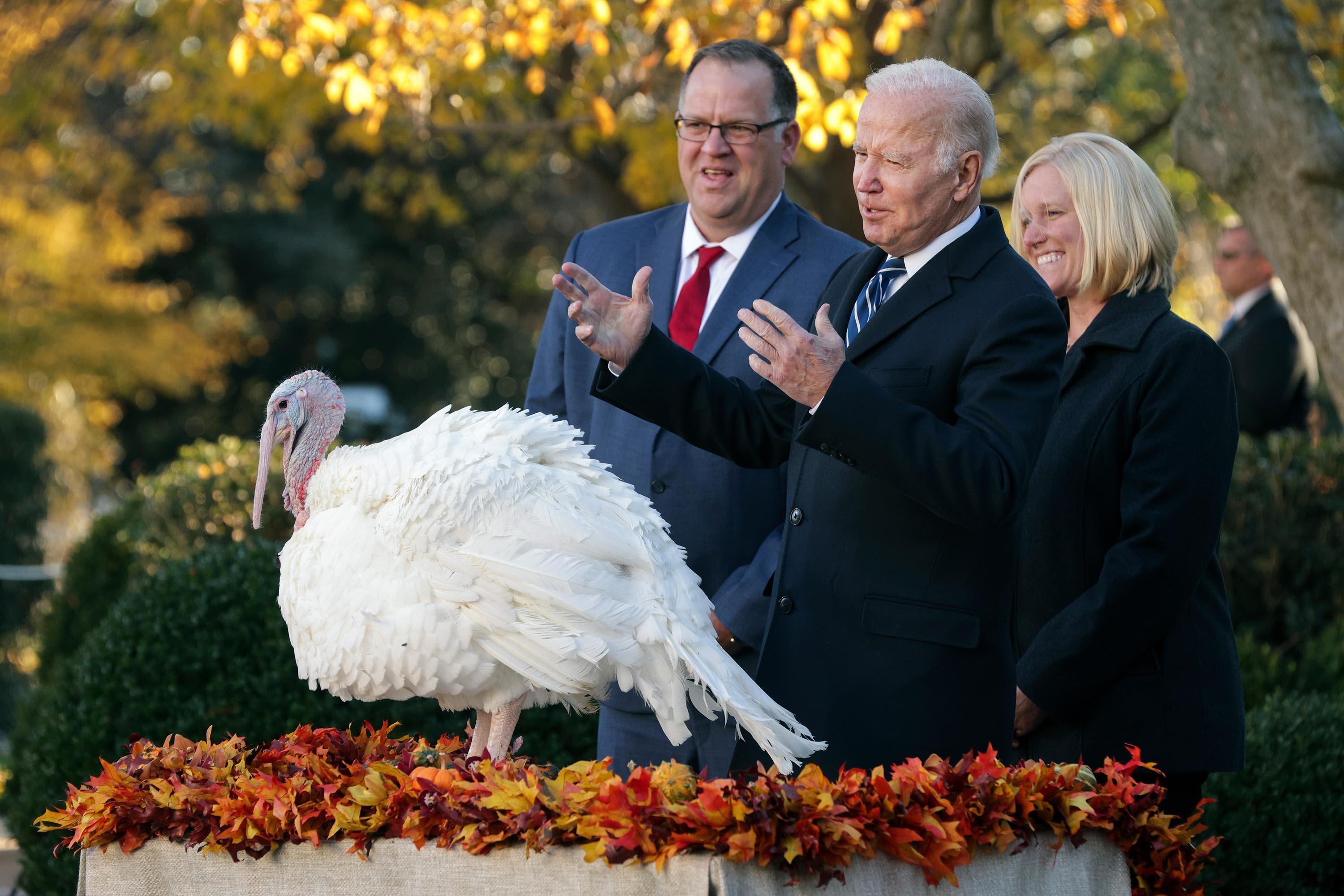 Biden pomilostil še svoja zadnja praznična purana Breskev in Cvet