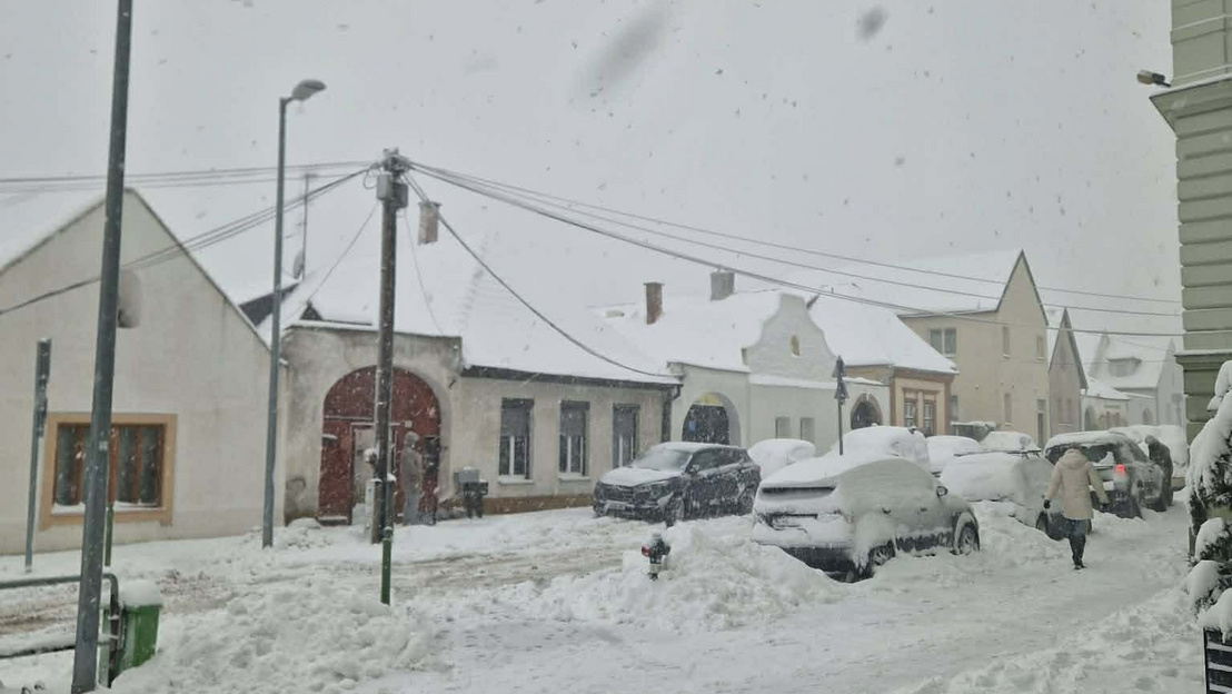 Družine brez elektrike po dva tedna: Obsežen snegolom poškodoval vso električno infrastrukturo