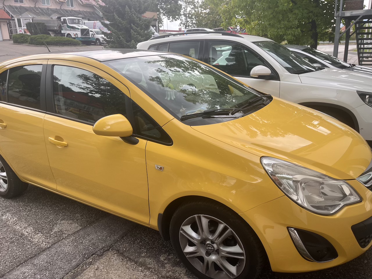 Vozite avto te barve? Poleti lahko postane pravi magnet za ose