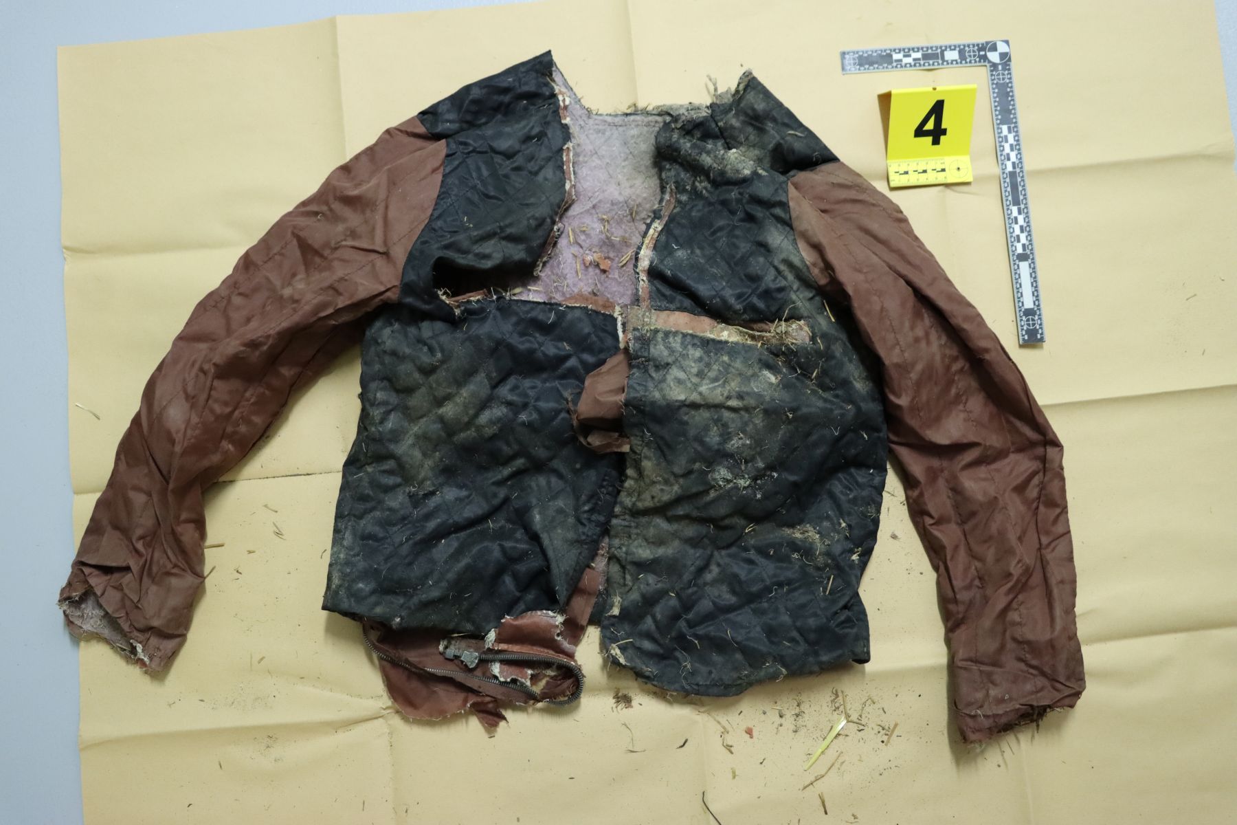 Najdeni posmrtni ostanki med Hočami in Rogozo: Kdo je neznani moški? (FOTO)