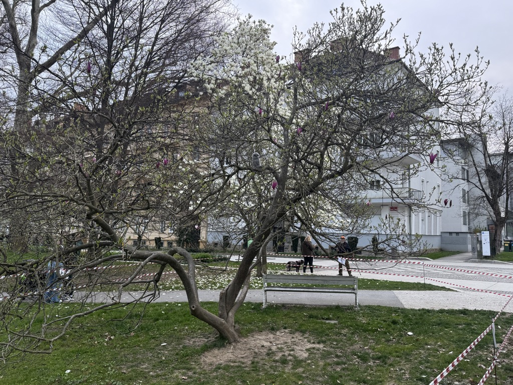 FOTO: Zaradi prav posebnega obiskovalca zavarovali del Mestnega parka