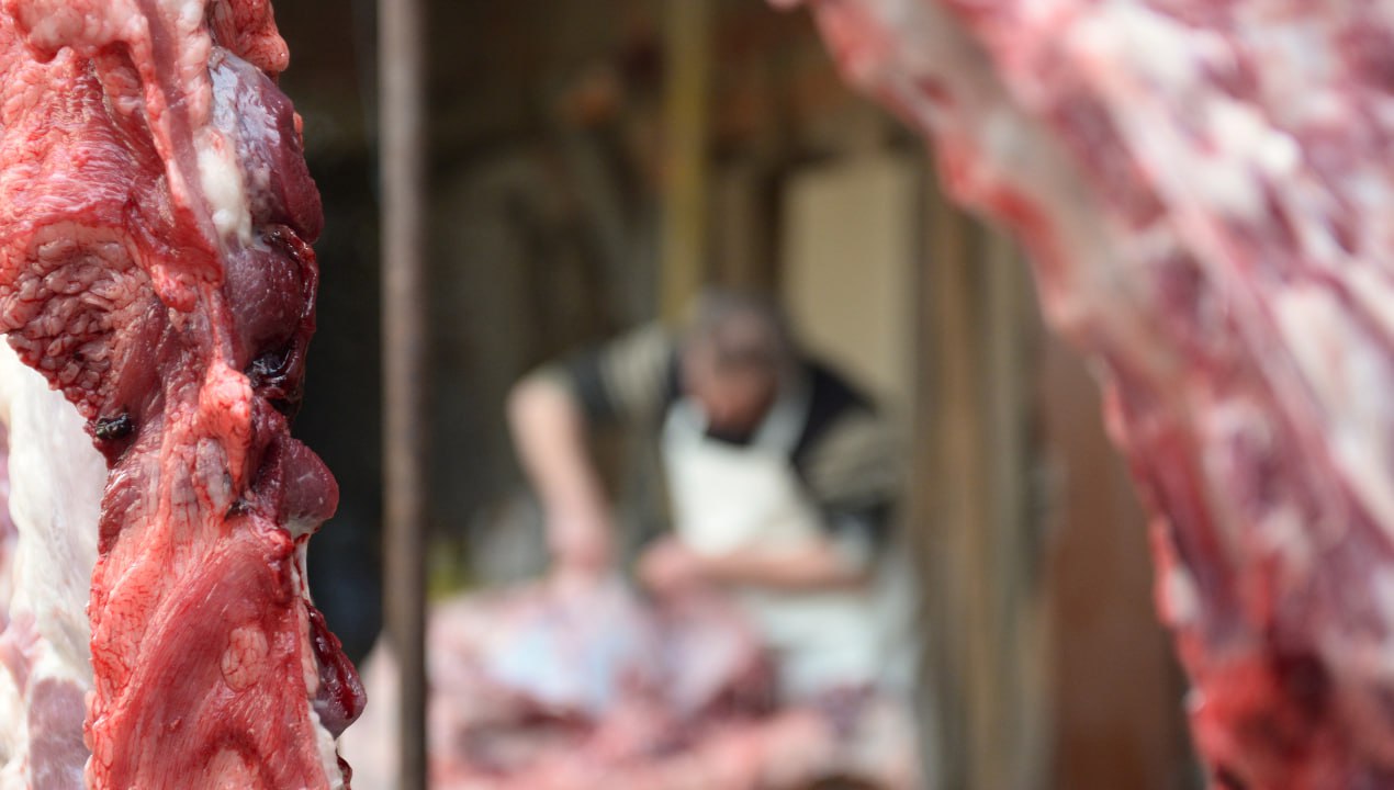 FOTO in VIDEO: Obiskali smo kmetijo Merčnik in doživeli koline, tradicionalni kmečki praznik