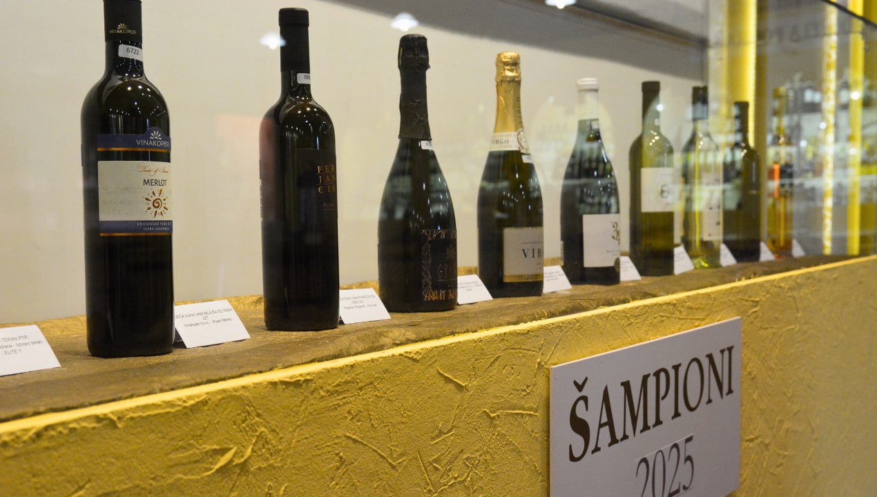 Najboljša letošnja vina: Izbranih 11 slovenskih šampionov