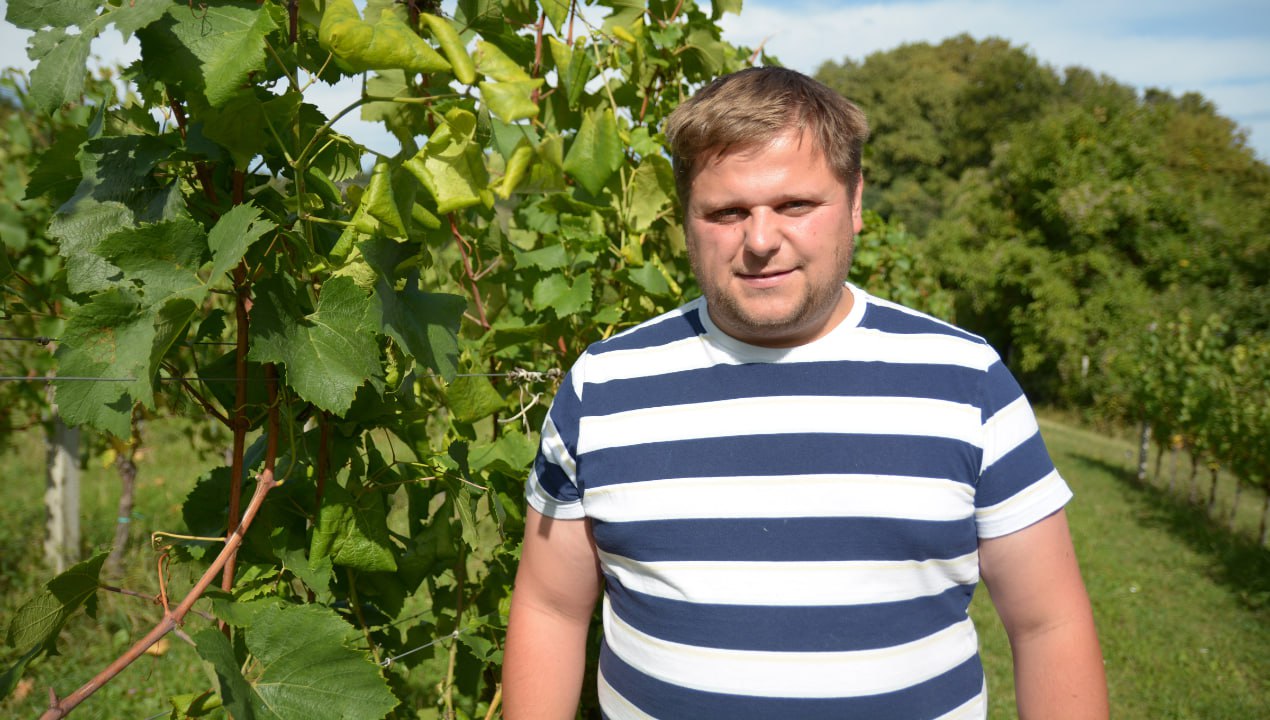 S strokovnjakom v vinogradu: Primerjava s trtno ušjo ni pretirana, priča smo novi vinogradniški krizi (VIDEO)