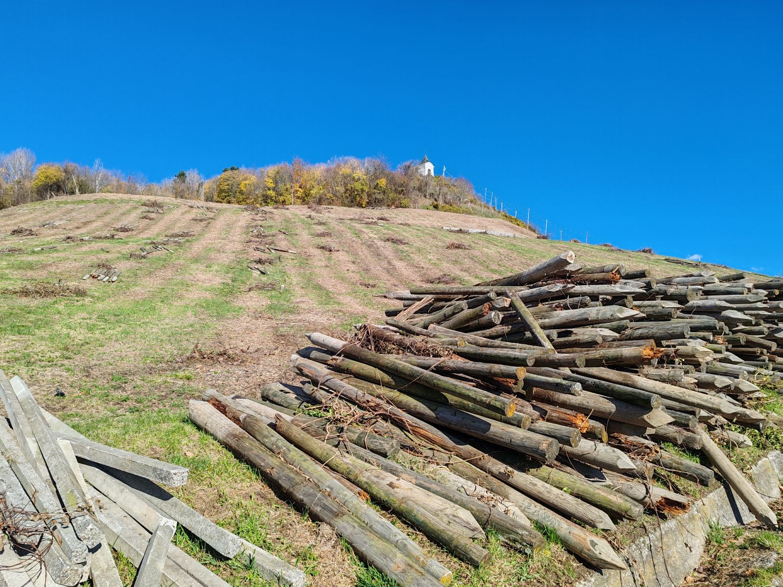 Ste slišali, kaj se je z odpadki zgodilo po odstranitvi dotrajanega vinograda na Piramidi?