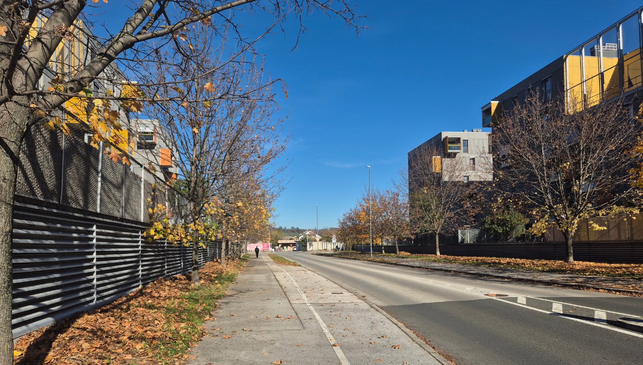 ANKETA: Kako ocenjujete sobivanje med Romi in neromskim prebivalstvom v Mariboru?