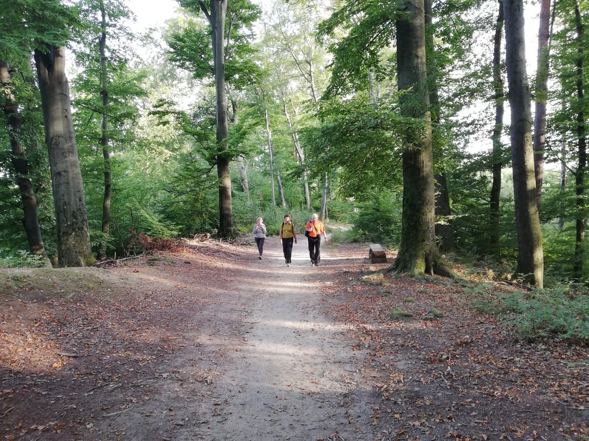 FOTO: Maribor ima eno izmed 14 naj gozdnih učnih poti