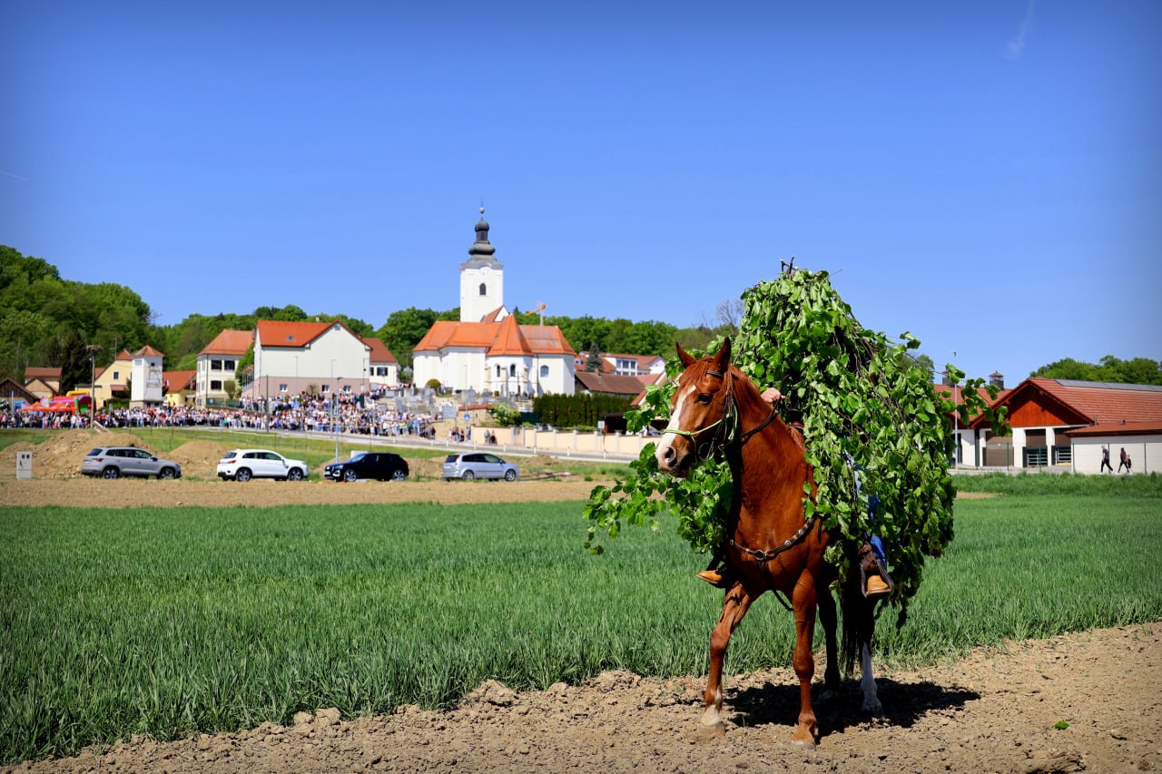 FOTO: Množica v Jurovskem Dolu navdušeno pozdravila natanko sto konjenikov