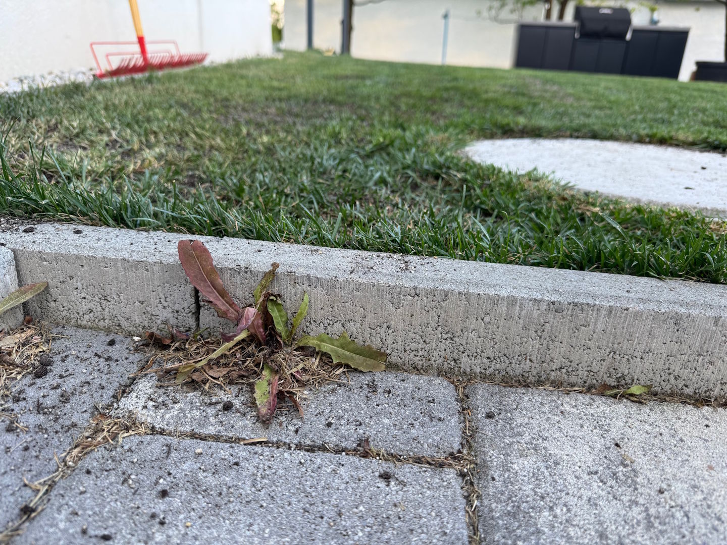 Preprost trik, s katerim plevela naslednji dan med tlakovci več ne bo