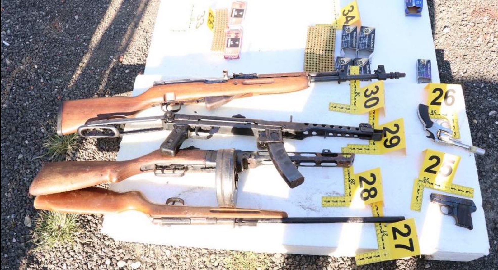 Nova pravila za orožje in spremembe v kazenskih postopkih proti mladoletnikom