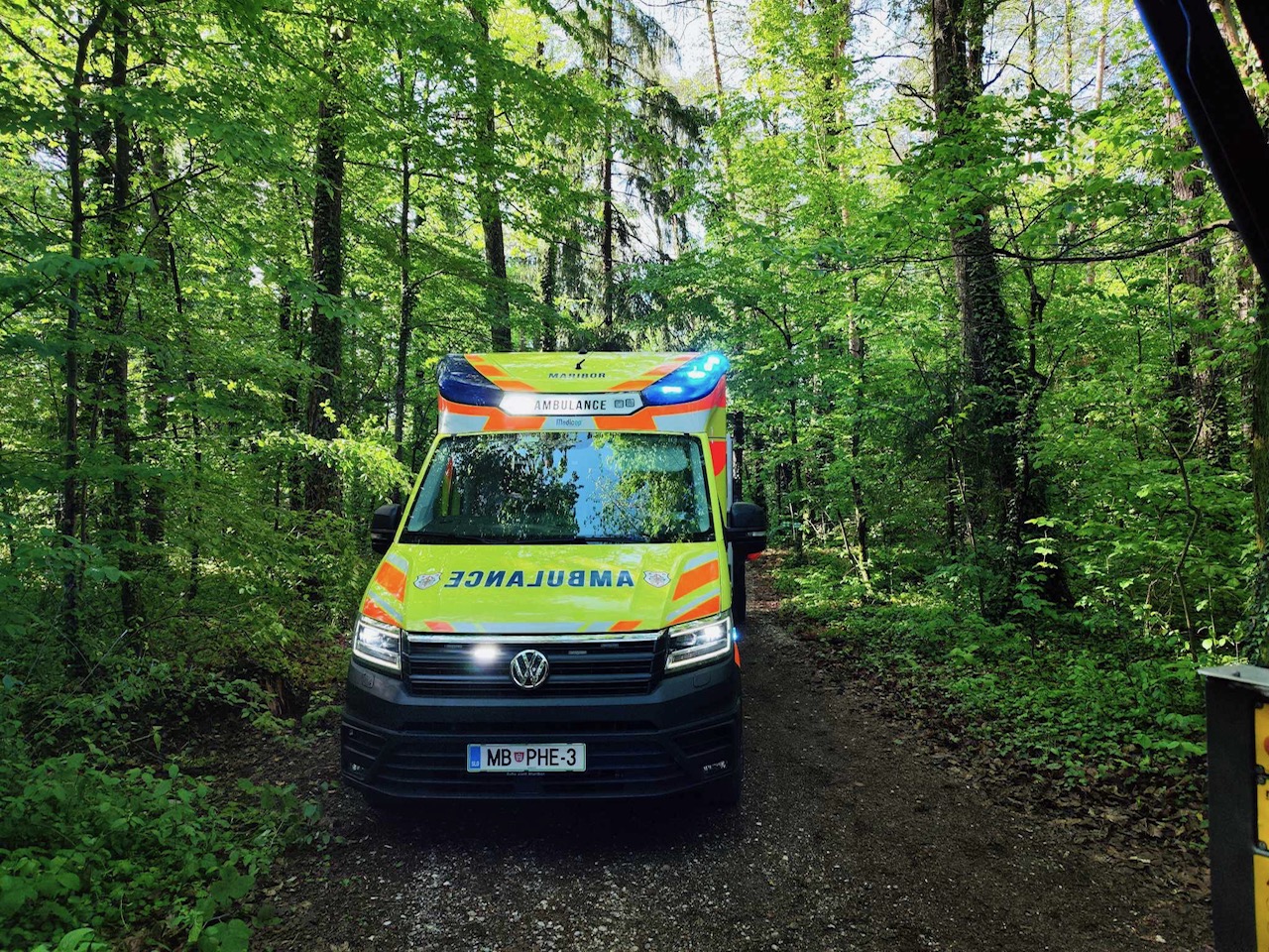 Pri spravljanju lesa umrl 37-letnik