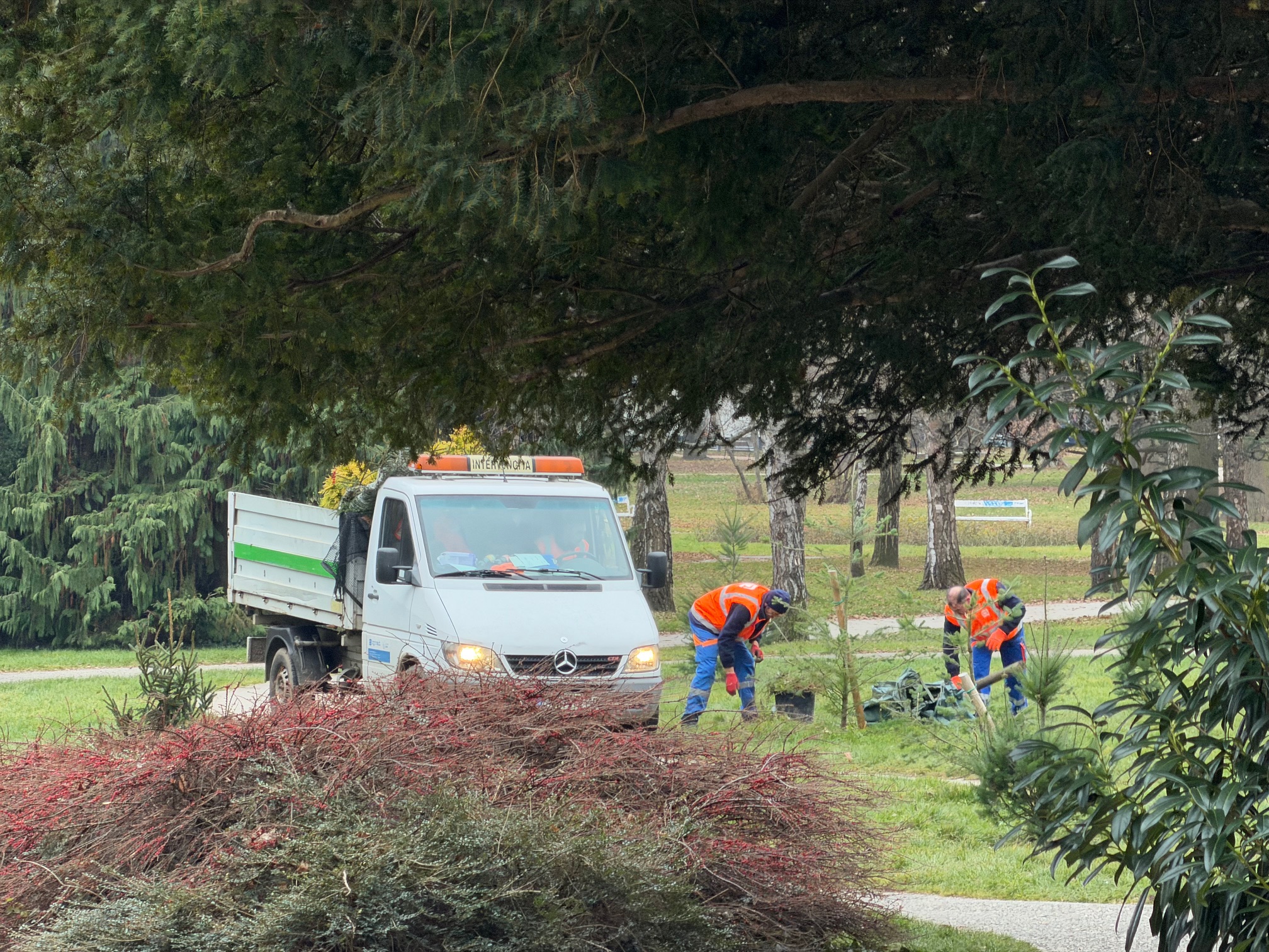 Mestna občina Maribor znamko Florina kupila za 1 evro