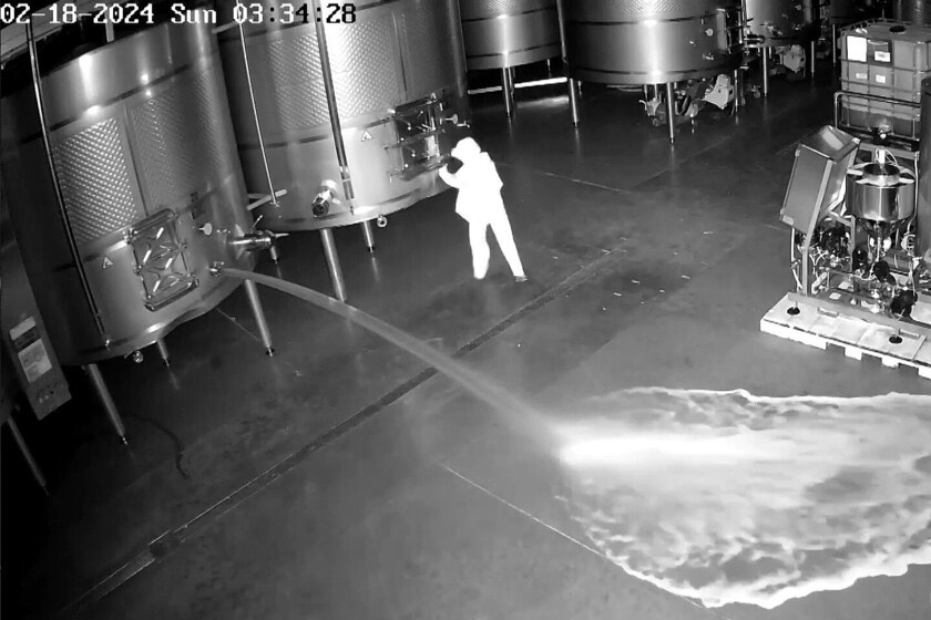 VIDEO: Neznanec v kanalizacijo spustil 60.000 litrov vrhunskega vina