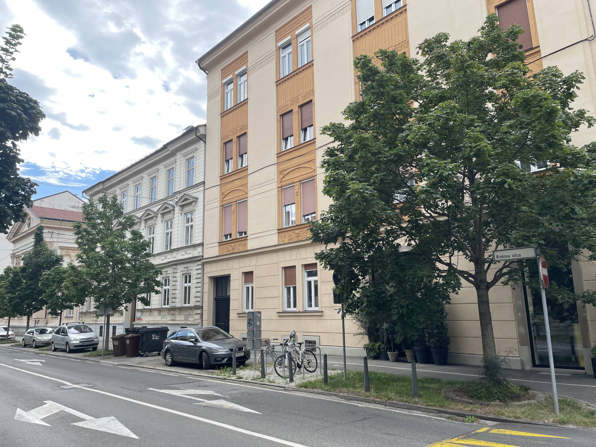 Zalivaš, zalivaš, zalivaš in evo – dreva!