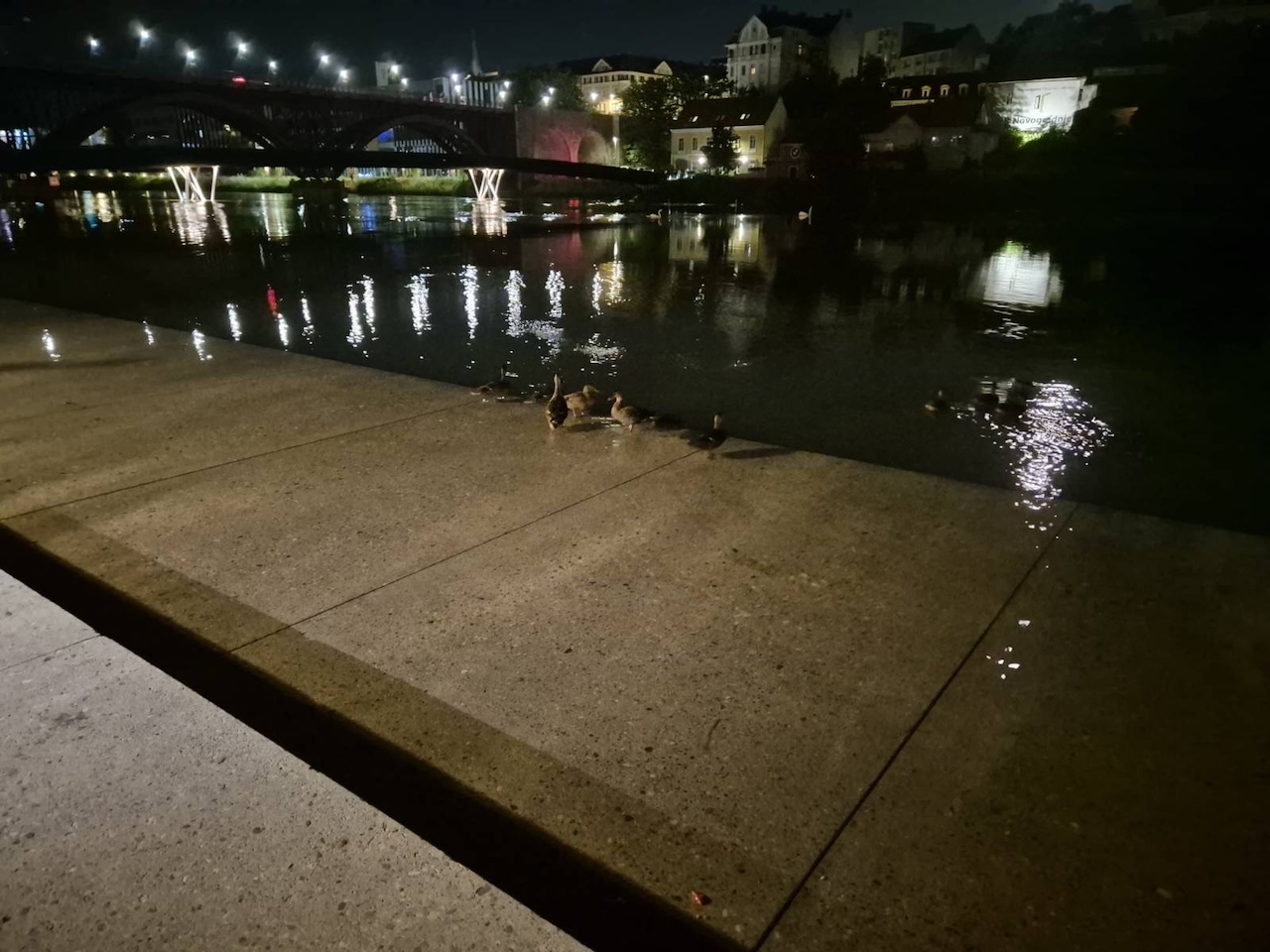 Zakaj je kamnita brežina na Lentu včasih pod vodo?