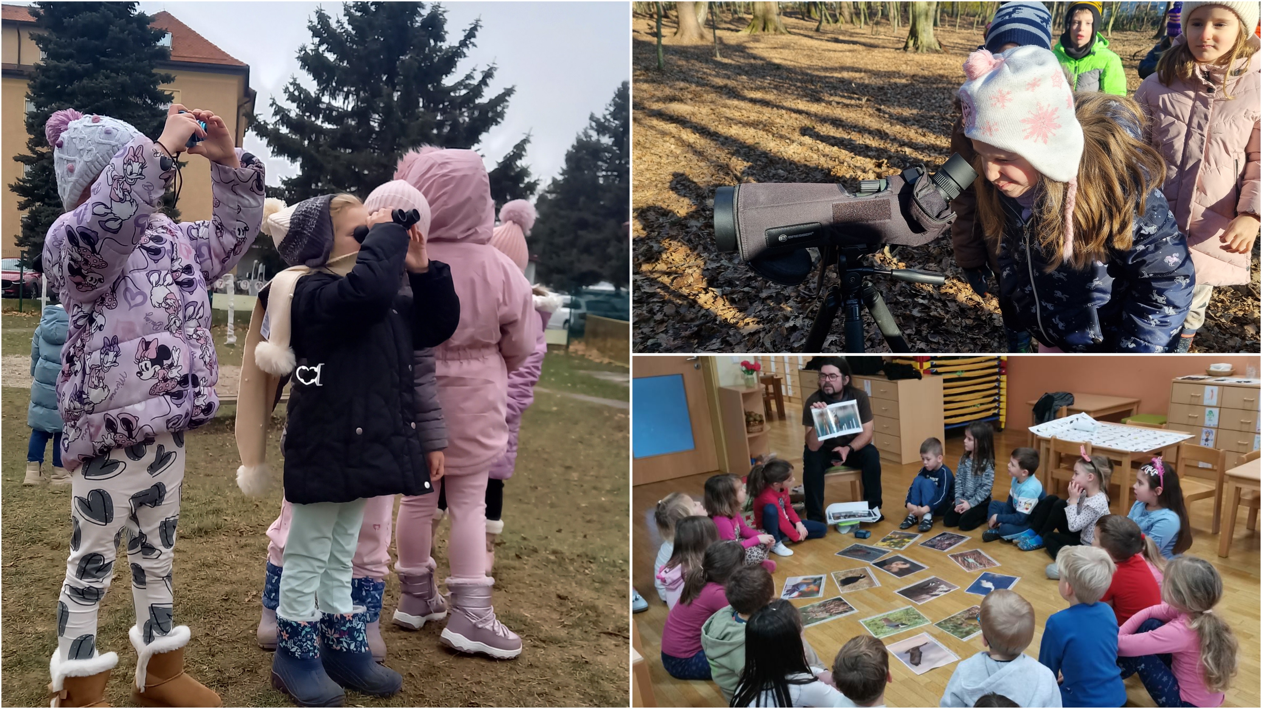 Začelo se je novo štetje ptic: Sodelujeta tudi najbolj pridna vrtca iz Lenarta in Maribora