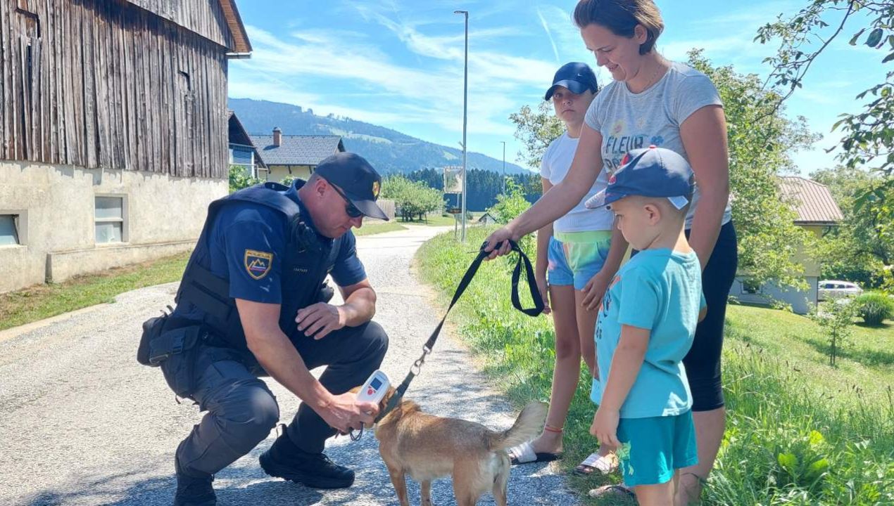 Poostren nadzor nad psi brez povodcev: Policisti izdali več opozoril