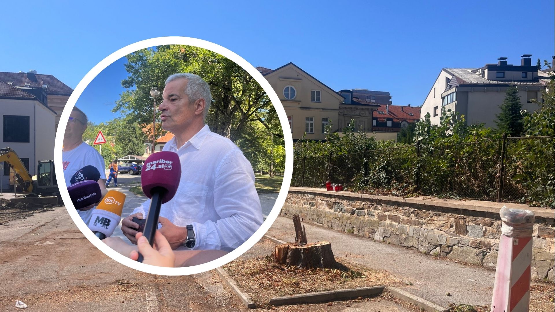 Zakaj so na Trubarjevi predčasno padla drevesa? Arsenovič: "Prišlo je do napačne interpretacije"